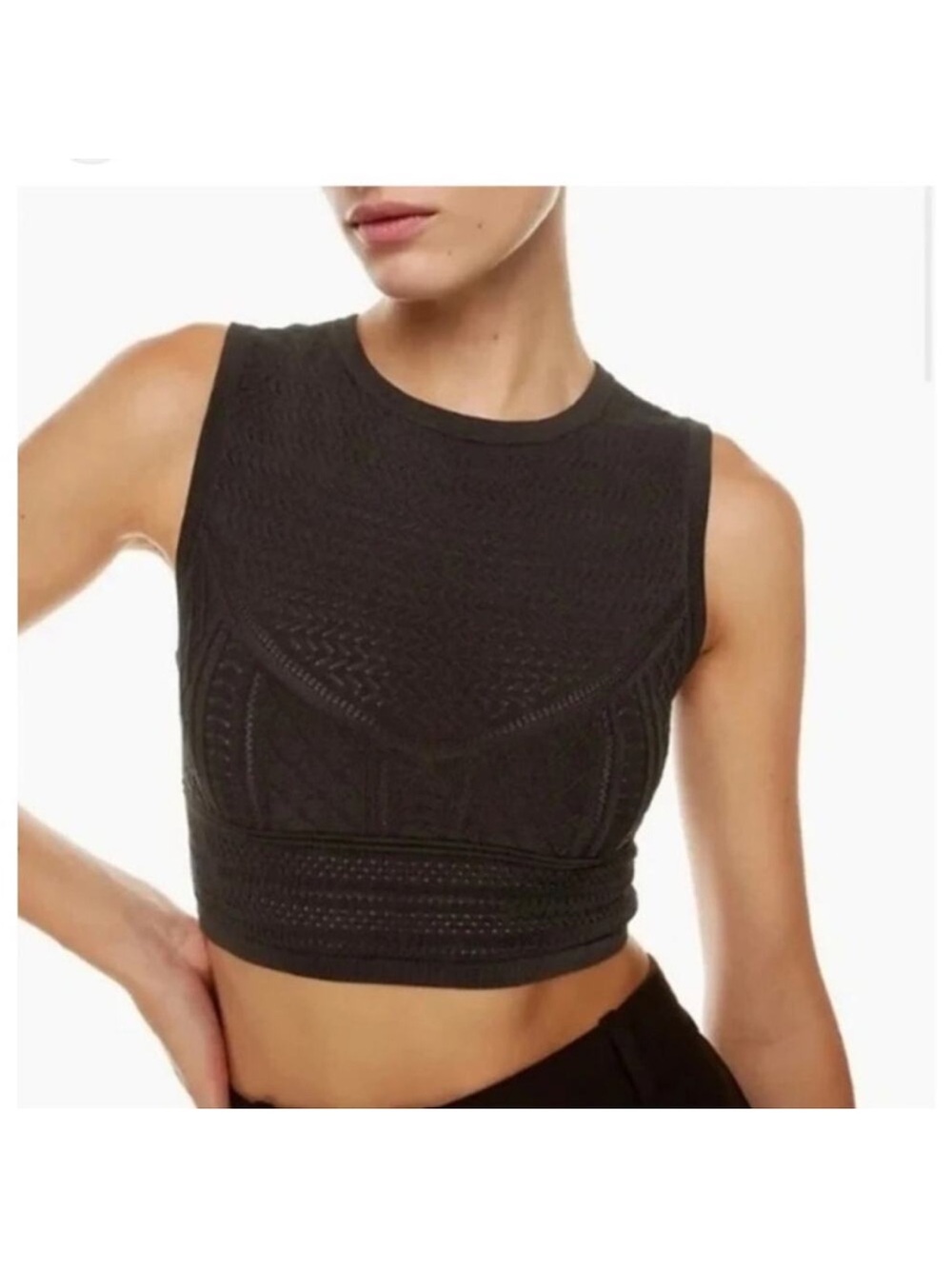 Aritzia Babaton Pointelle Tank